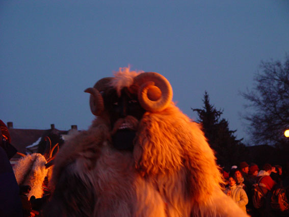 Bus&oacute; a m&aacute;glya k&ouml;r&uuml;l